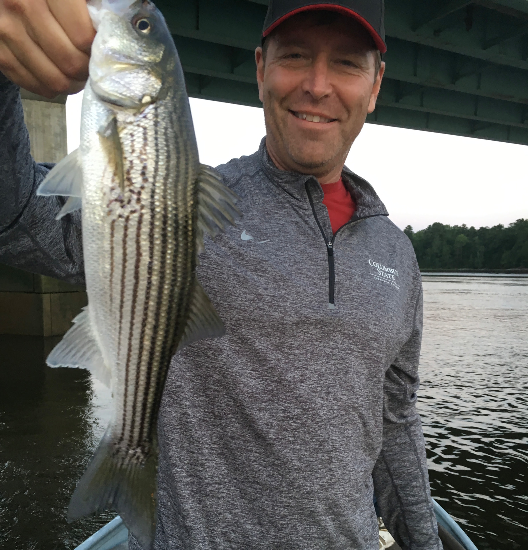 Striped bass fishing