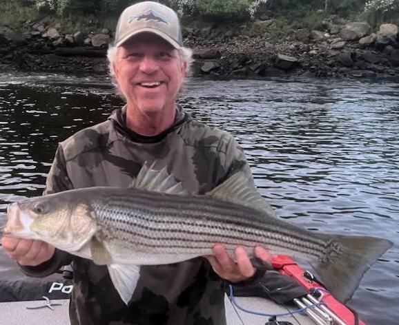 Striped bass fishing