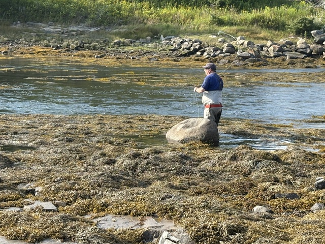 Angler with striped bass