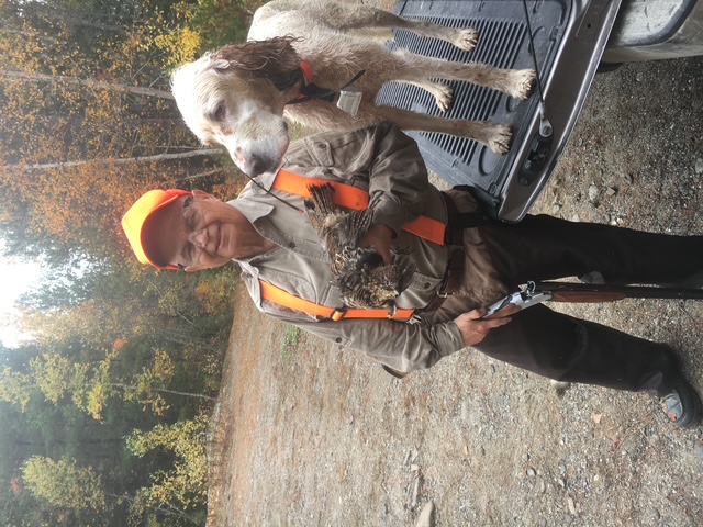 Upland bird hunter with English setter and grouse