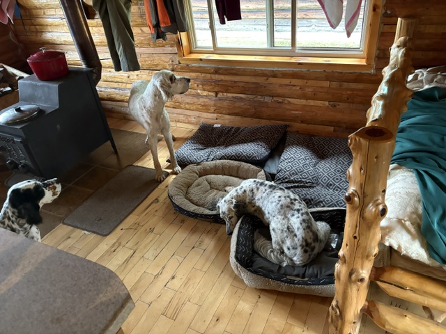 Allagash Wilderness / North Woods bird hunting camp