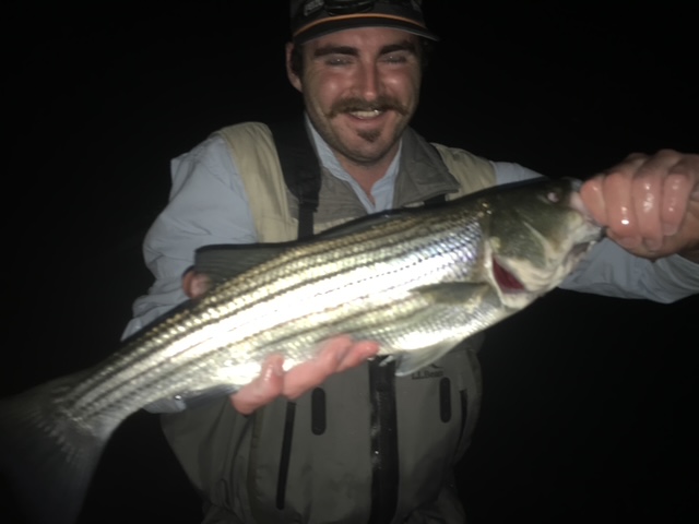 Striped bass fishing