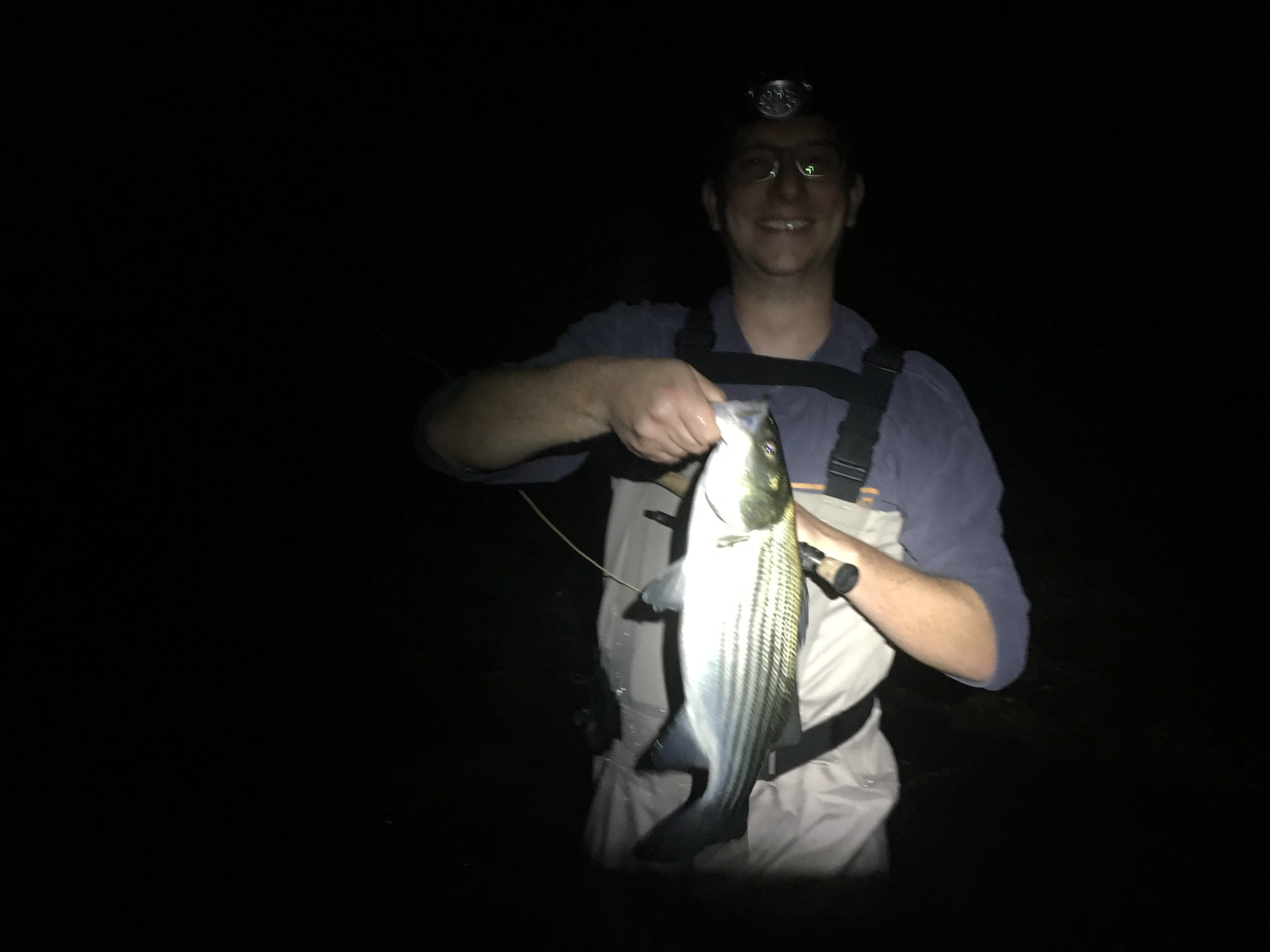 Striped bass fishing