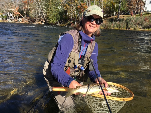 Mayfly on the water at the East Outlet