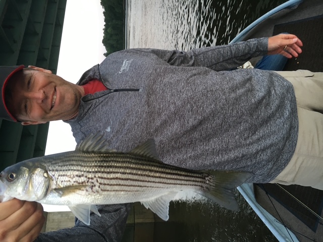 Striped bass fishing