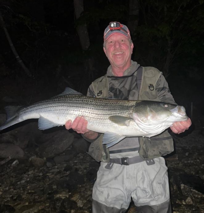 Striped bass fishing