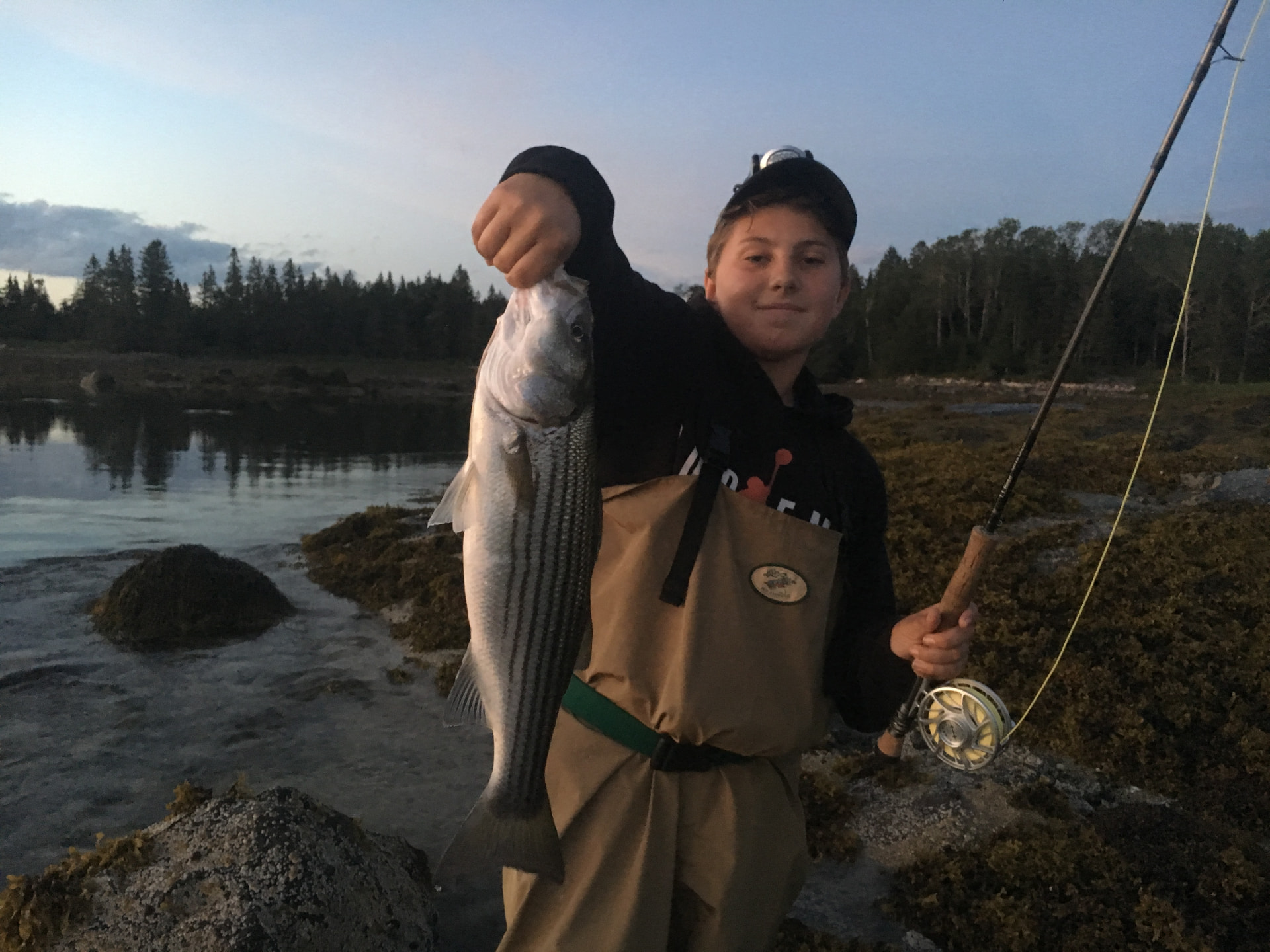 Striped bass fishing