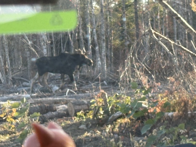 Allagash Wilderness / North Woods bird hunting camp
