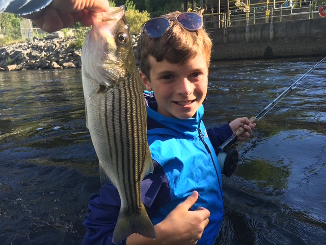 Striped bass fishing