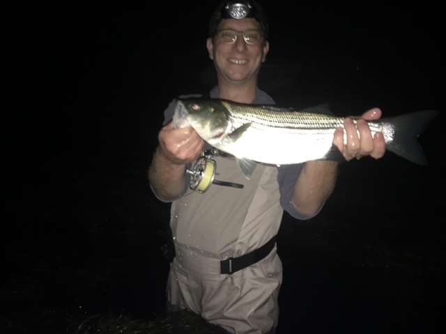 Striped bass fishing