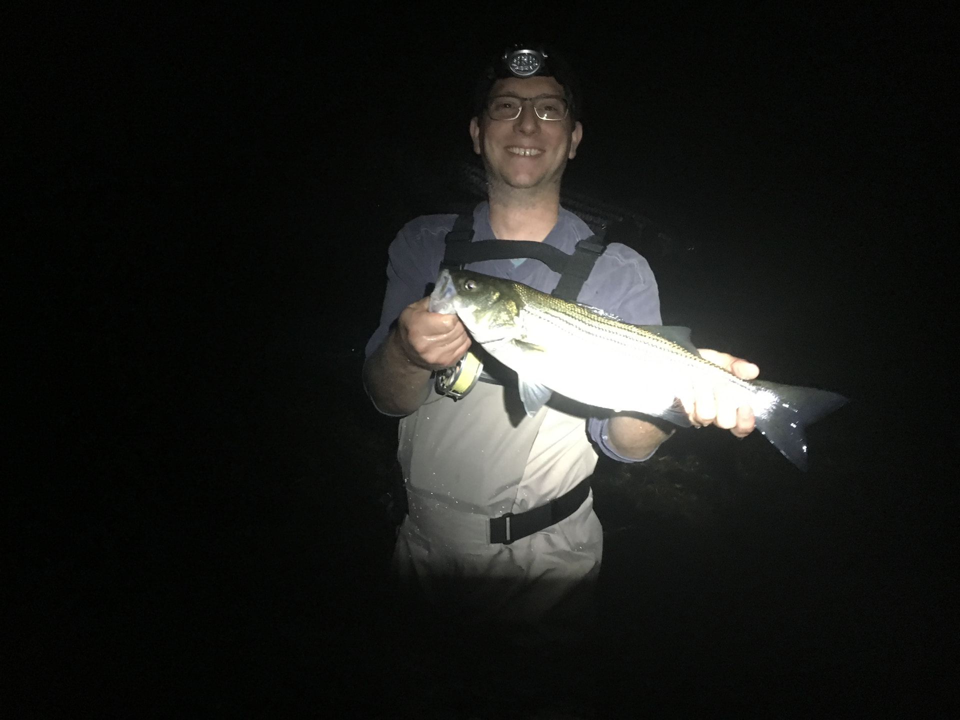 Striped bass fishing