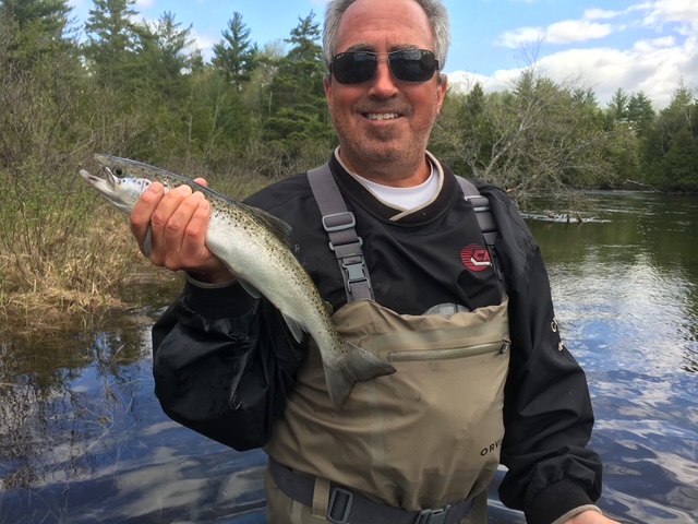 Angler releasing a salmon streamside