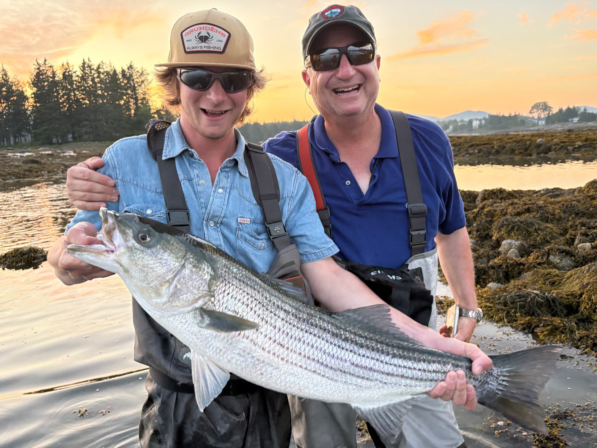 Striped bass fishing