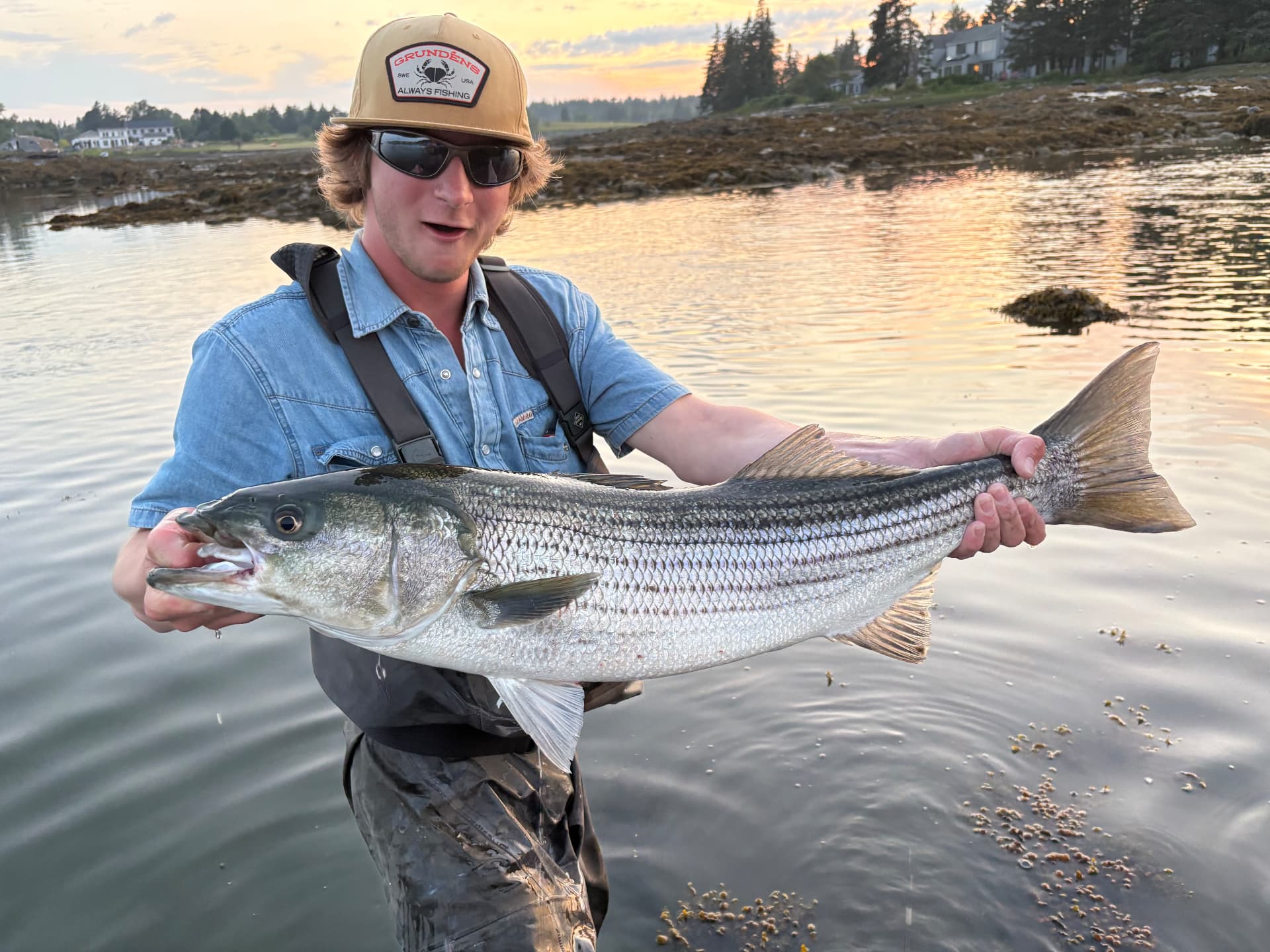Angler holding a large striped bass
