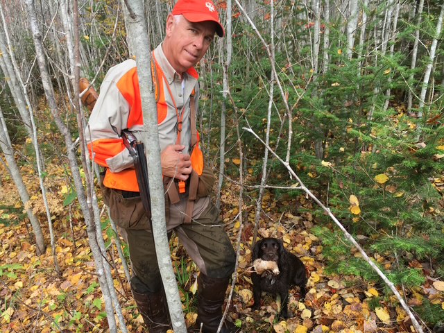 Setter working birdy cover