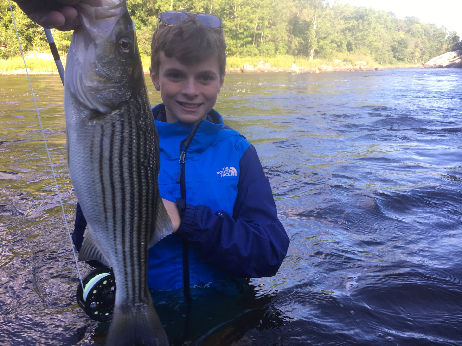 Striped bass fishing